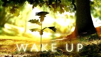 Free download Lynn Harris on Failure and comedy with CTA video and edit with RedcoolMedia movie maker MovieStudio video editor online and AudioStudio audio editor onlin