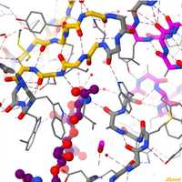 Free download Lysozyme video and edit with RedcoolMedia movie maker MovieStudio video editor online and AudioStudio audio editor onlin