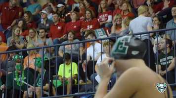 Free download MAC Championship: Womens Swim  Dive 2019 video and edit with RedcoolMedia movie maker MovieStudio video editor online and AudioStudio audio editor onlin