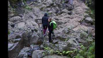 Free download Madeira_the movie video and edit with RedcoolMedia movie maker MovieStudio video editor online and AudioStudio audio editor onlin