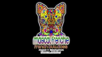 Free download magical animals art coloring book journal write express yourself have fun frenchi french bulldog cat video and edit with RedcoolMedia movie maker MovieStudio video editor online and AudioStudio audio editor onlin