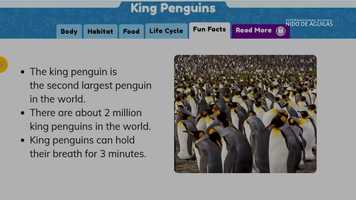Free download Magic Reading Amazing Learning: Penguins and their Chicks video and edit with RedcoolMedia movie maker MovieStudio video editor online and AudioStudio audio editor onlin