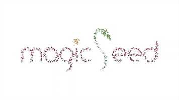 Free download MAGIC SEED MUSIC video and edit with RedcoolMedia movie maker MovieStudio video editor online and AudioStudio audio editor onlin