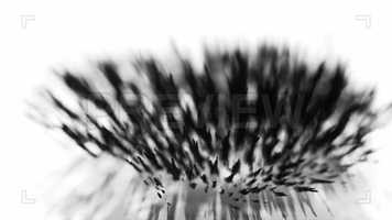 Free download Magnetic Sand Shallow DOF Stock Video video and edit with RedcoolMedia movie maker MovieStudio video editor online and AudioStudio audio editor onlin