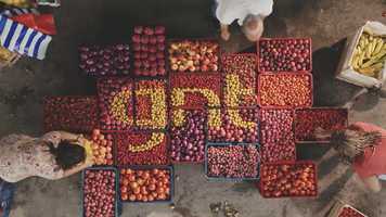 Free download Making Of GNT Logos 2019 video and edit with RedcoolMedia movie maker MovieStudio video editor online and AudioStudio audio editor onlin