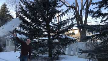 Free download Making Snow on a Cold Day video and edit with RedcoolMedia movie maker MovieStudio video editor online and AudioStudio audio editor onlin