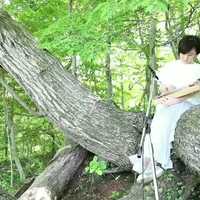 Free download Makoto-Green-edit480 video and edit with RedcoolMedia movie maker MovieStudio video editor online and AudioStudio audio editor onlin