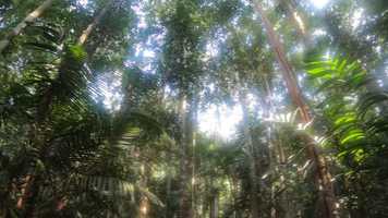 Free download MALAYSIA IS ACTION video and edit with RedcoolMedia movie maker MovieStudio video editor online and AudioStudio audio editor onlin