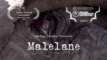 Free download Malelane - trailer video and edit with RedcoolMedia movie maker MovieStudio video editor online and AudioStudio audio editor onlin