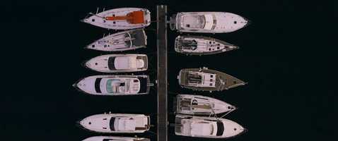 Free download Maltese Winter video and edit with RedcoolMedia movie maker MovieStudio video editor online and AudioStudio audio editor onlin