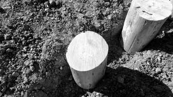 Free download Mamo Pi Trailer.mov video and edit with RedcoolMedia movie maker MovieStudio video editor online and AudioStudio audio editor onlin