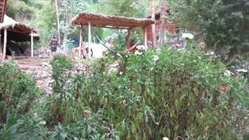 Free download MANA Retreats Invitation video and edit with RedcoolMedia movie maker MovieStudio video editor online and AudioStudio audio editor onlin