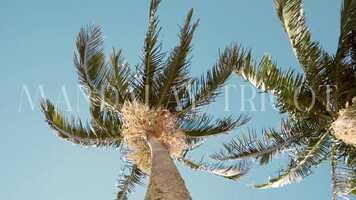 Free download Mandalay Summer 22 - Novos Ares video and edit with RedcoolMedia movie maker MovieStudio video editor online and AudioStudio audio editor onlin