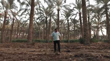 Free download mandou_x_molotof_dam_elmlook_official_music_video__f600FmWUDC0_1080p video and edit with RedcoolMedia movie maker MovieStudio video editor online and AudioStudio audio editor onlin