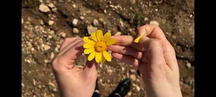 Free download Manifest your True Love, and Desire in Abundance,  The Core of Love and Commitment! video and edit with RedcoolMedia movie maker MovieStudio video editor online and AudioStudio audio editor onlin