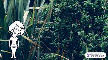 Free download Manual de Supervivencia video and edit with RedcoolMedia movie maker MovieStudio video editor online and AudioStudio audio editor onlin