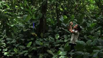 Free download MAPA Y DATOS - GIRAS 2019 video and edit with RedcoolMedia movie maker MovieStudio video editor online and AudioStudio audio editor onlin