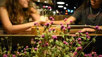 Free download MAPLE By Lily Brummett MUSIC VIDEO video and edit with RedcoolMedia movie maker MovieStudio video editor online and AudioStudio audio editor onlin