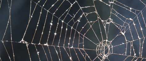 Free download Marcello Di Lorenzo  Carpenter Variations video and edit with RedcoolMedia movie maker MovieStudio video editor online and AudioStudio audio editor onlin