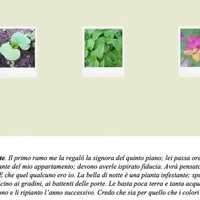 Free download Marco Minoja / Ti ho fatto una foto sul confine erbaceo / Abbi cura di te video and edit with RedcoolMedia movie maker MovieStudio video editor online and AudioStudio audio editor onlin