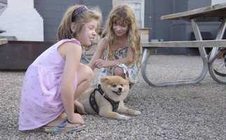 Free download Marfa - Trans Pecos Festival of Music and Love 2019 Recap video and edit with RedcoolMedia movie maker MovieStudio video editor online and AudioStudio audio editor onlin