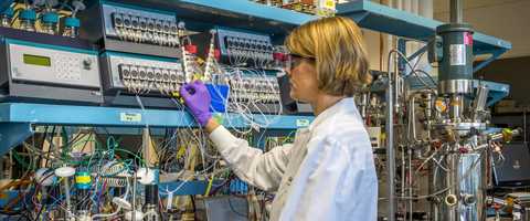 Free download Margulies Perruzzi video and edit with RedcoolMedia movie maker MovieStudio video editor online and AudioStudio audio editor onlin