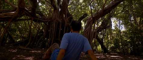 Free download Mariit Official Trailer 2 video and edit with RedcoolMedia movie maker MovieStudio video editor online and AudioStudio audio editor onlin
