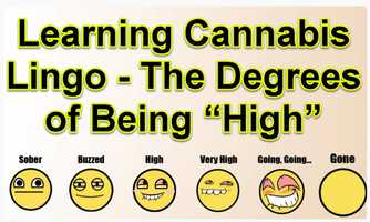Free download Marijuana Words - Learning the Language of Being High video and edit with RedcoolMedia movie maker MovieStudio video editor online and AudioStudio audio editor onlin