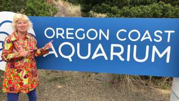 Free download Marine Fish Intro video and edit with RedcoolMedia movie maker MovieStudio video editor online and AudioStudio audio editor onlin