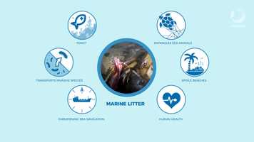 Free download Marine Litter video/animation for NOWPAP video and edit with RedcoolMedia movie maker MovieStudio video editor online and AudioStudio audio editor onlin