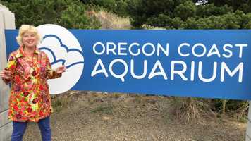 Free download Marine Mammals Intro video and edit with RedcoolMedia movie maker MovieStudio video editor online and AudioStudio audio editor onlin