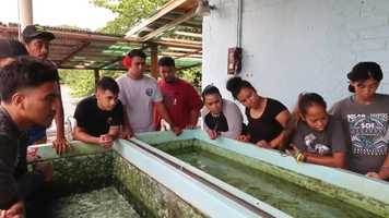 Free download Marine Science Recruitment Video video and edit with RedcoolMedia movie maker MovieStudio video editor online and AudioStudio audio editor onlin