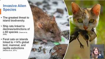 Free download Marine Science Seminar - Sarah Havery video and edit with RedcoolMedia movie maker MovieStudio video editor online and AudioStudio audio editor onlin