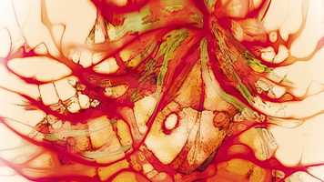 Free download Marionette video and edit with RedcoolMedia movie maker MovieStudio video editor online and AudioStudio audio editor onlin