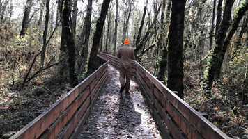 Free download Mark Videoing Wetland (no voice - nature sound) video and edit with RedcoolMedia movie maker MovieStudio video editor online and AudioStudio audio editor onlin