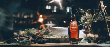 Free download Martell - Noblige｜Grilled Salmon / Dir. Cut video and edit with RedcoolMedia movie maker MovieStudio video editor online and AudioStudio audio editor onlin