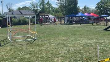 Free download Marvel Dog Sports Open 2020 3rd Place video and edit with RedcoolMedia movie maker MovieStudio video editor online and AudioStudio audio editor onlin