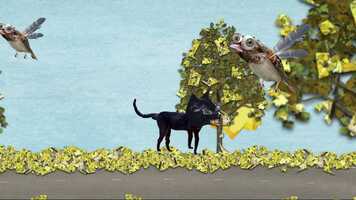 Free download MASO CAT | Animation Short Film 2019 video and edit with RedcoolMedia movie maker MovieStudio video editor online and AudioStudio audio editor onlin