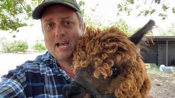 Free download MASON video and edit with RedcoolMedia movie maker MovieStudio video editor online and AudioStudio audio editor onlin