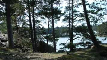 Free download Material  Vibrotactile lab video and edit with RedcoolMedia movie maker MovieStudio video editor online and AudioStudio audio editor onlin