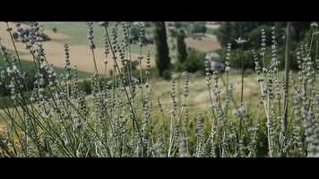 Free download Matteo e Selene - Trailer video and edit with RedcoolMedia movie maker MovieStudio video editor online and AudioStudio audio editor onlin