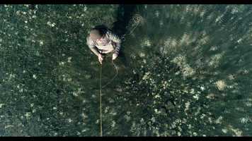 Free download Mayorga on the fly video and edit with RedcoolMedia movie maker MovieStudio video editor online and AudioStudio audio editor onlin