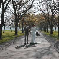 Free download MD MOVIES 2 video and edit with RedcoolMedia movie maker MovieStudio video editor online and AudioStudio audio editor onlin