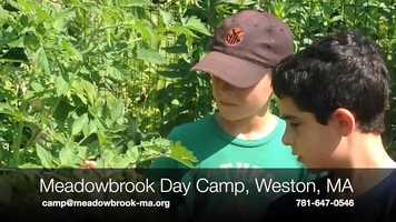 Free download meadowbrook movie with call to action video and edit with RedcoolMedia movie maker MovieStudio video editor online and AudioStudio audio editor onlin