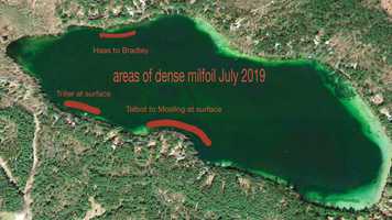 Free download Meandering Survey 7-2019 video and edit with RedcoolMedia movie maker MovieStudio video editor online and AudioStudio audio editor onlin