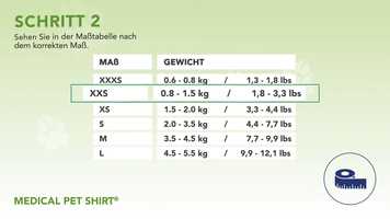 Free download MEASUREMENT VIDEO MPS SHIRT RABBIT - DE video and edit with RedcoolMedia movie maker MovieStudio video editor online and AudioStudio audio editor onlin