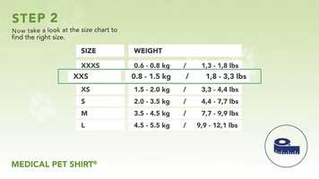 Free download MEASUREMENT VIDEO MPS SHIRT RABBIT - EN video and edit with RedcoolMedia movie maker MovieStudio video editor online and AudioStudio audio editor onlin