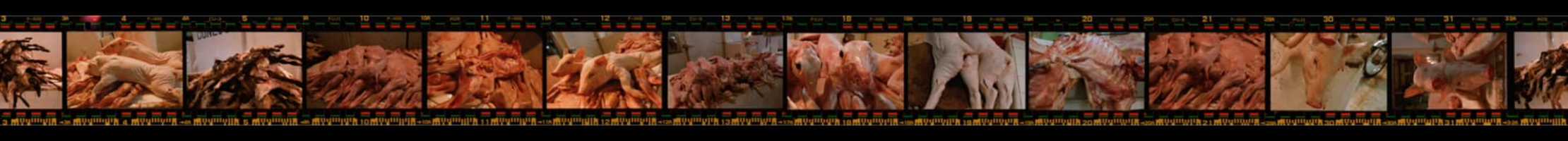 Free download Meat Loop video and edit with RedcoolMedia movie maker MovieStudio video editor online and AudioStudio audio editor onlin
