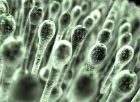 Free download Medical science samples video and edit with RedcoolMedia movie maker MovieStudio video editor online and AudioStudio audio editor onlin