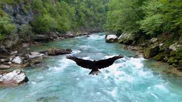 Free download Medicine Wheel Journey  Earthkeepers Apprenticeship Trailer video and edit with RedcoolMedia movie maker MovieStudio video editor online and AudioStudio audio editor onlin